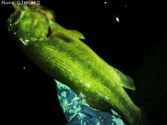 �֥�å��Х�