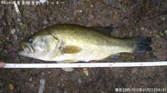 �֥�å��Х�