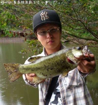 �֥�å��Х�