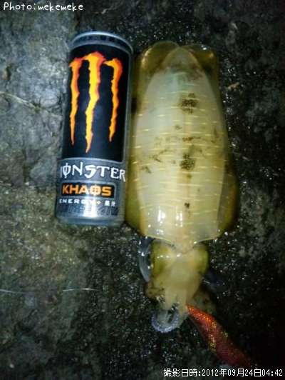 �����ꥤ��