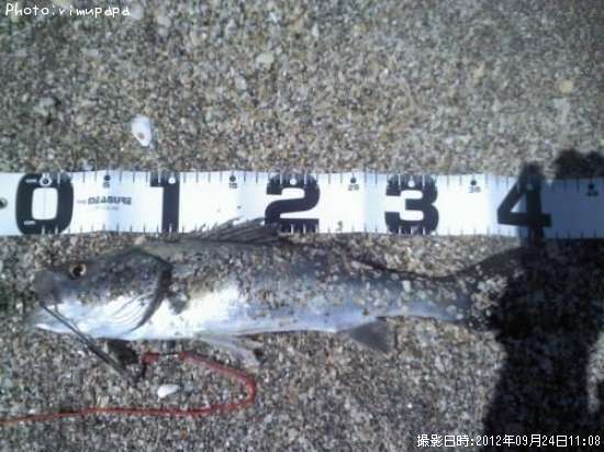 �����Х�