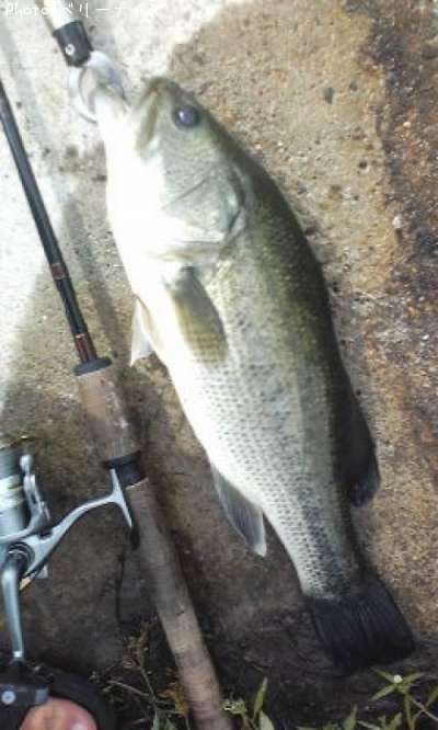 �֥�å��Х�