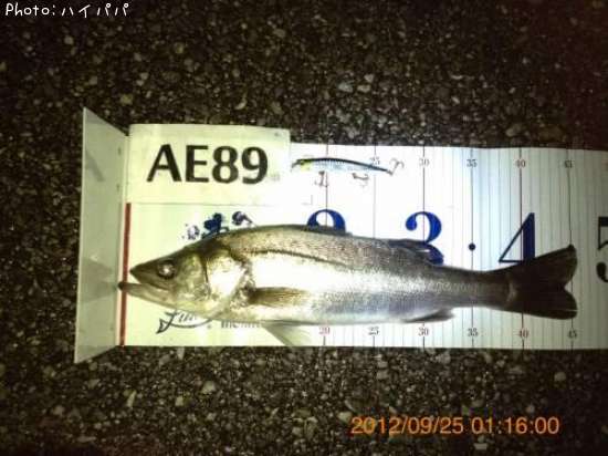 �����Х�