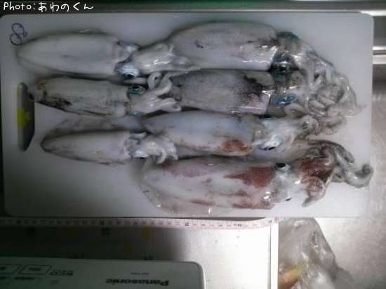 �����ꥤ��