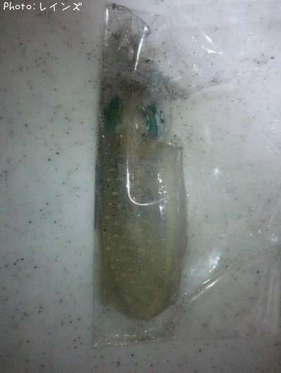 �����ꥤ��