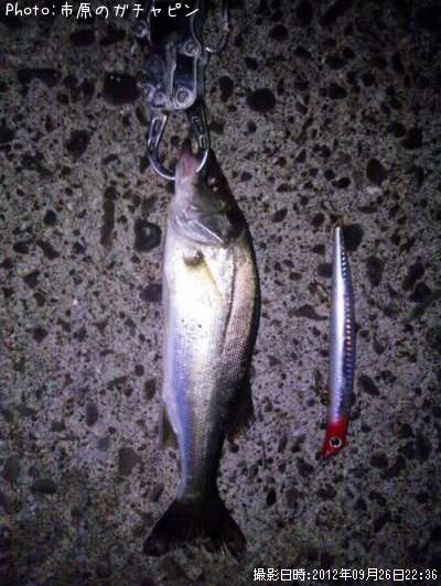 �����Х�