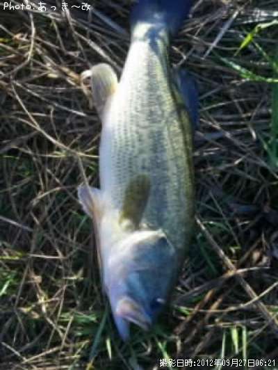 �֥�å��Х�