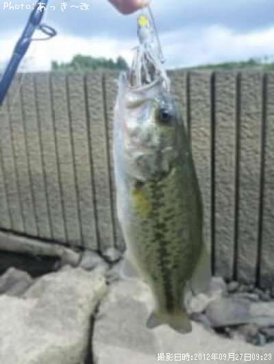 �֥�å��Х�