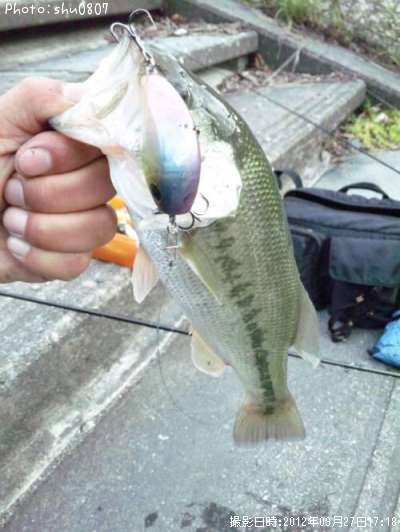 �֥�å��Х�