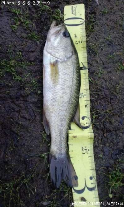 �֥�å��Х�