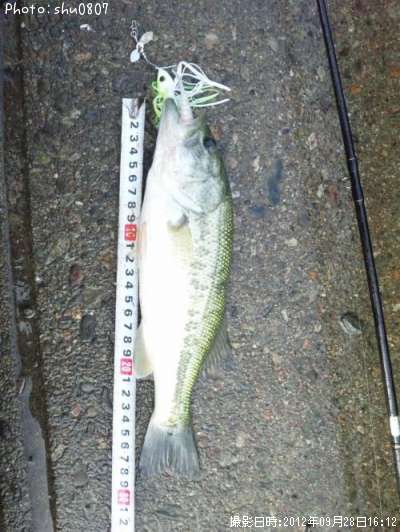 �֥�å��Х�