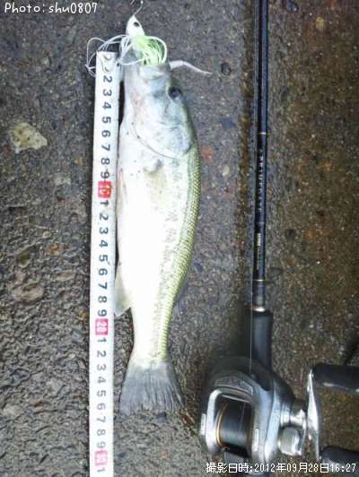 �֥�å��Х�