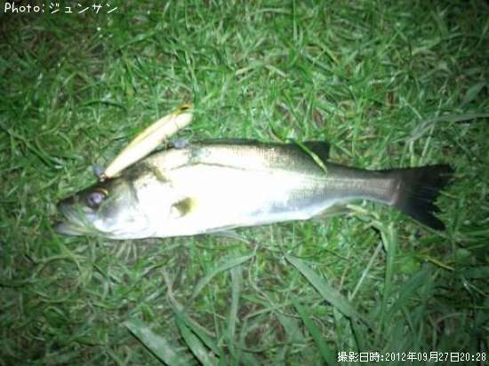 �����Х�