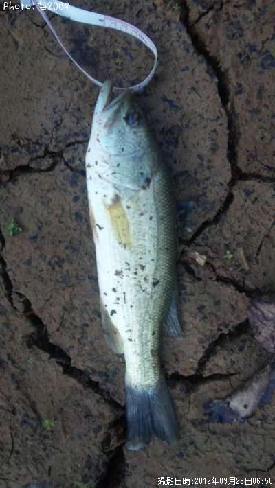 �֥�å��Х�