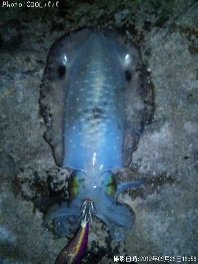 �����ꥤ��