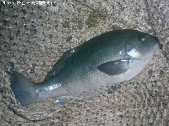 �����᥸��