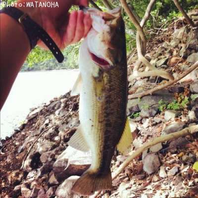 �֥�å��Х�