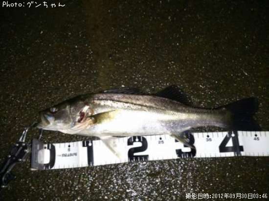 �����Х�