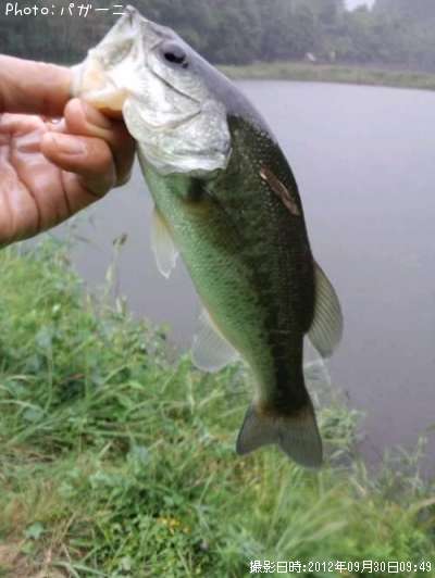 �֥�å��Х�