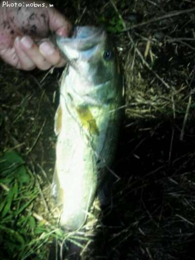 �֥�å��Х�