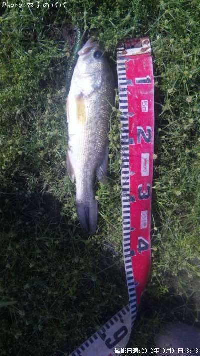 �֥�å��Х�