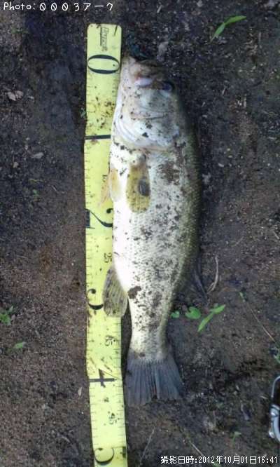 �֥�å��Х�