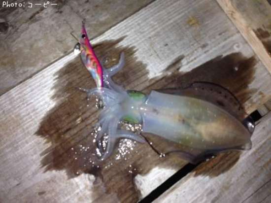 �����ꥤ��