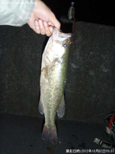 �֥�å��Х�