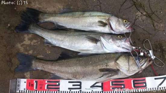 �����Х�