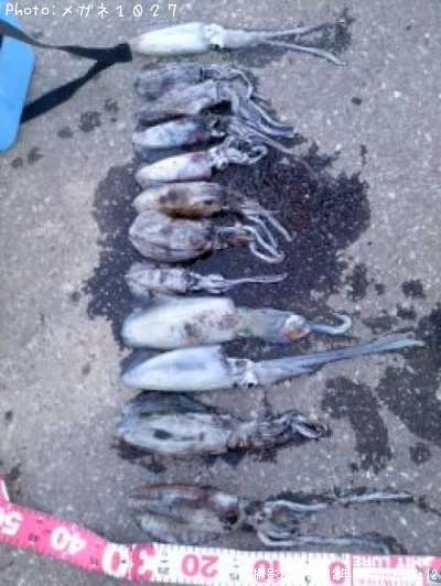 �����ꥤ��