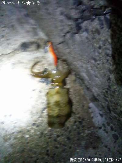 �����ꥤ��