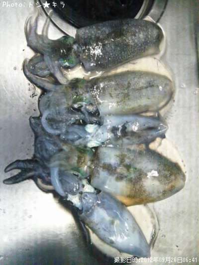 �����ꥤ��