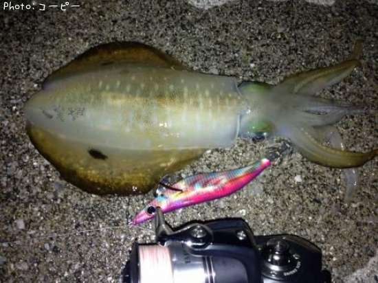 �����ꥤ��