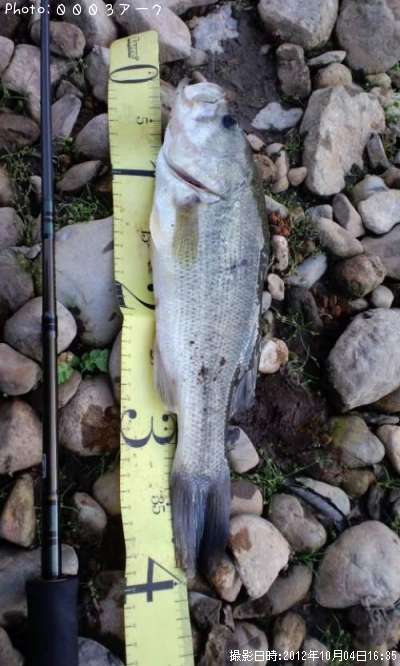 �֥�å��Х�