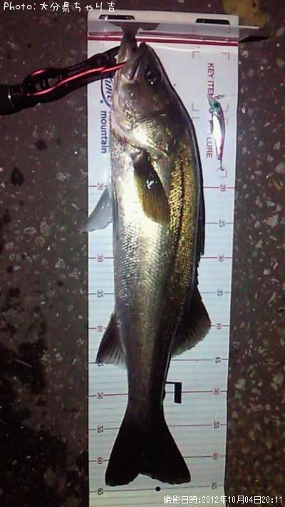 �����Х�