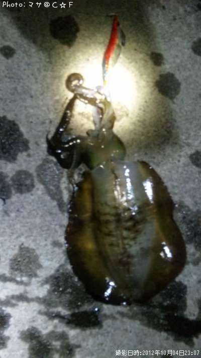 �����ꥤ��