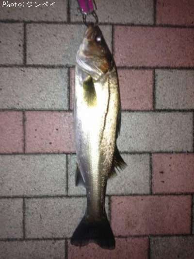 �����Х�