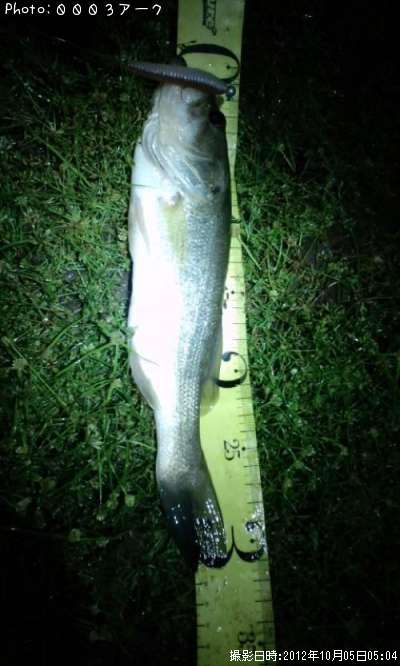 �֥�å��Х�