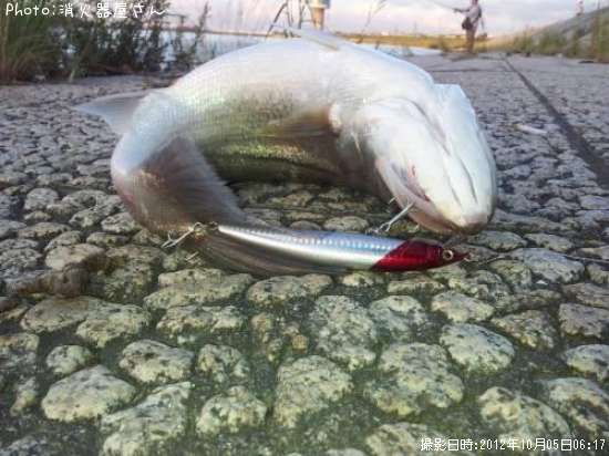 �����Х�