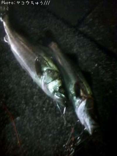 �����Х�
