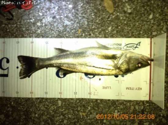 �����Х�