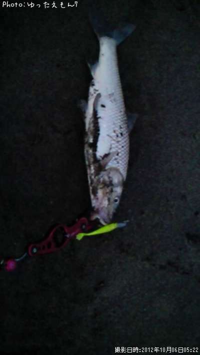 �ޥ륿������