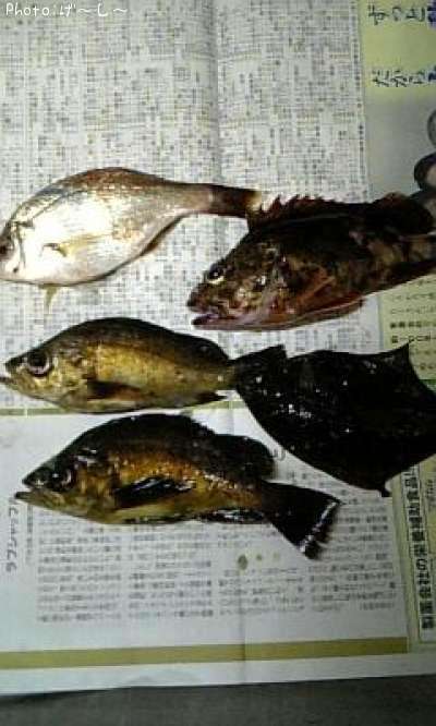 ��Х롦������