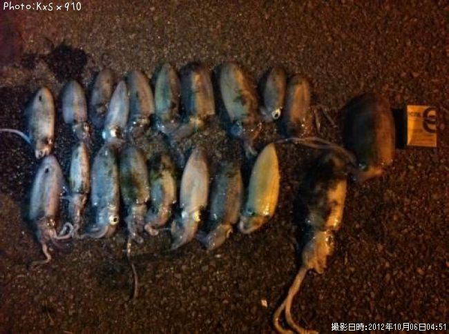 �����ꥤ��