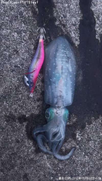 �����ꥤ��