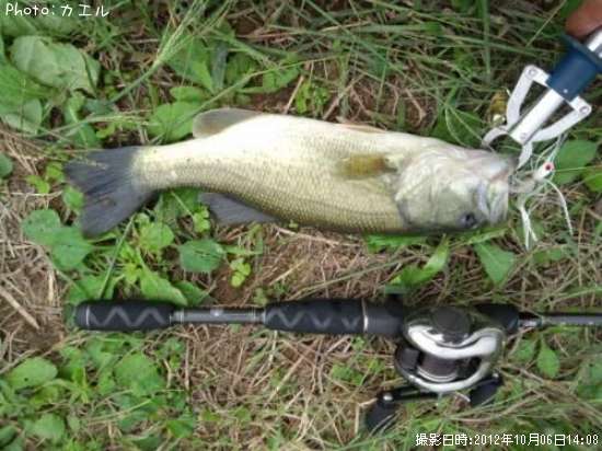 �֥�å��Х�