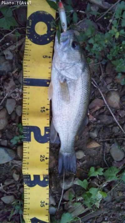 �֥�å��Х�