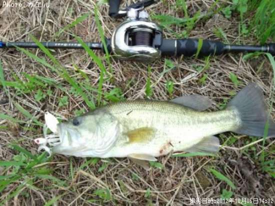 �֥�å��Х�