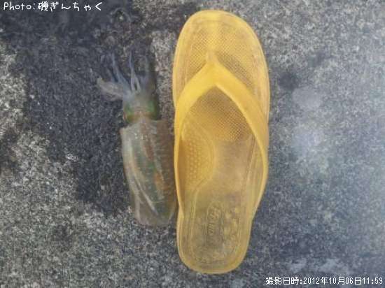 �����ꥤ��