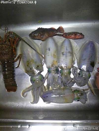 �����ꥤ��